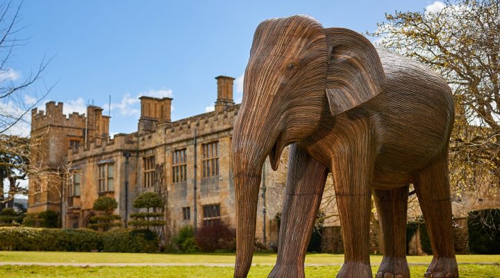 Image for World Elephant Day celebrations come to Sudeley